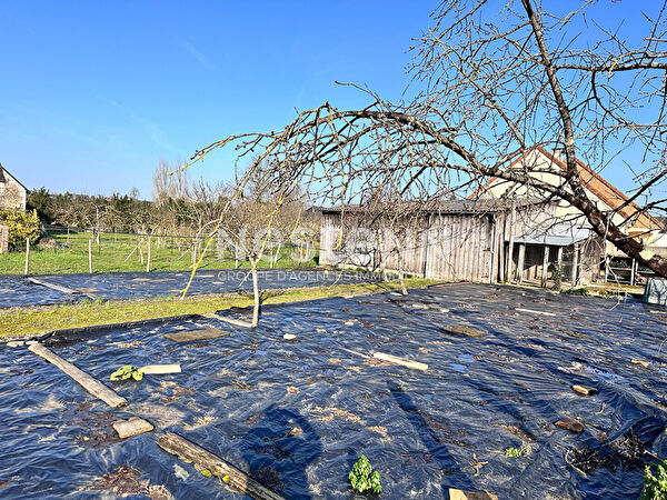 Vente terrain à Mansigne (72510)