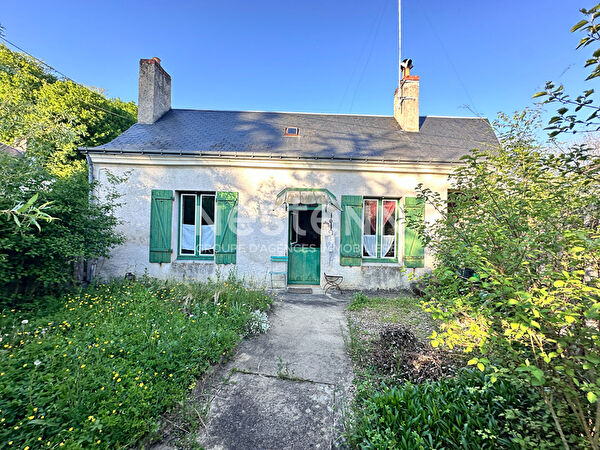 Vente maison récente à Villiers au bouin (37330)