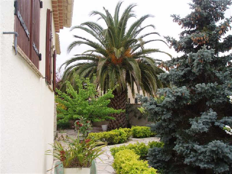 PAVILLON TRADITIONNEL AGDE - 7 pièce(s) - 220 m2