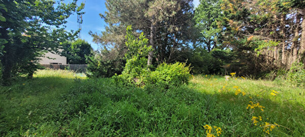 Vente terrain à Montauban (82000)