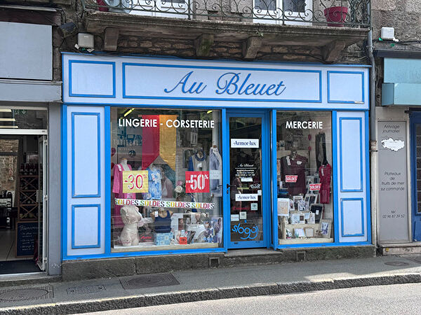 Vente par agence immobiliere à Dinan (22100)