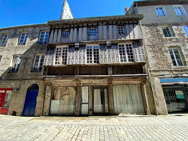 Vente local-professionnel à Saint carreuc (22150)