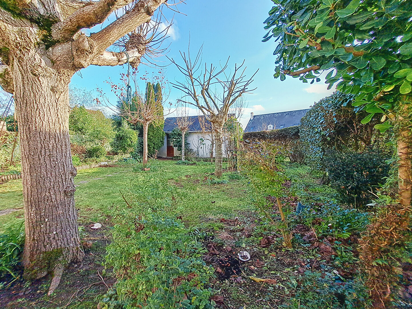 Maison CENTRE Saint Cyr Sur Loire - 5 Pièces - 120 m2 - Proche commodités