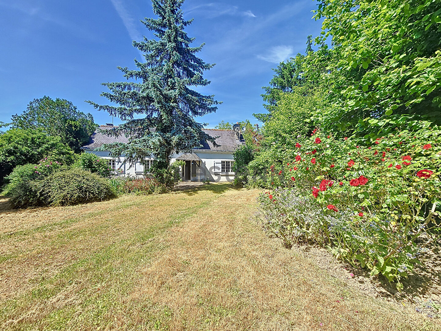 À Vendre ! Longère de 250m2 à Saint-Cyr-sur-Loire - terrain 1400 m2