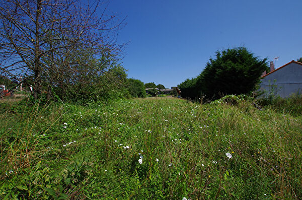 Vente terrain à Chalonnes sur loire (49290)