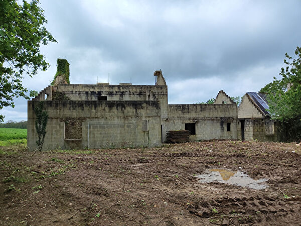 Vente maison à Naizin (56500)