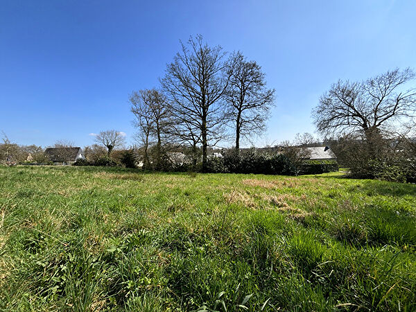 Vente terrain à Locmine (56500)