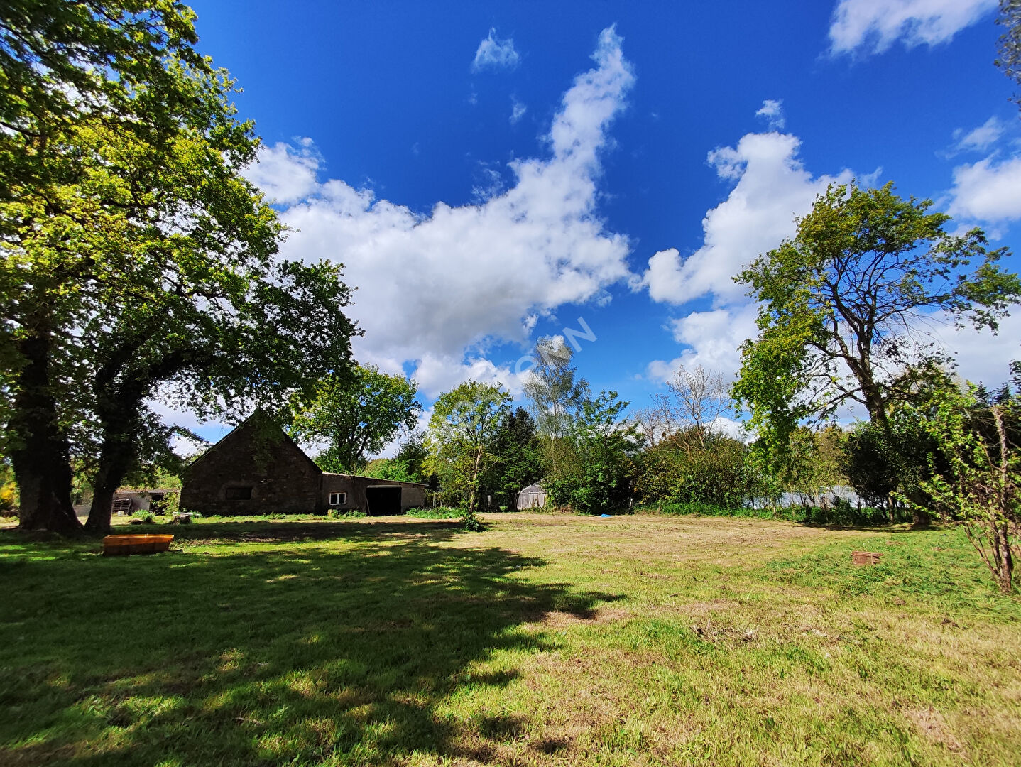 Maison à vendre à Naizin - Ensemble de deux maisons avec hangar à 10 minutes de Pontivy - environ 8 000 M2