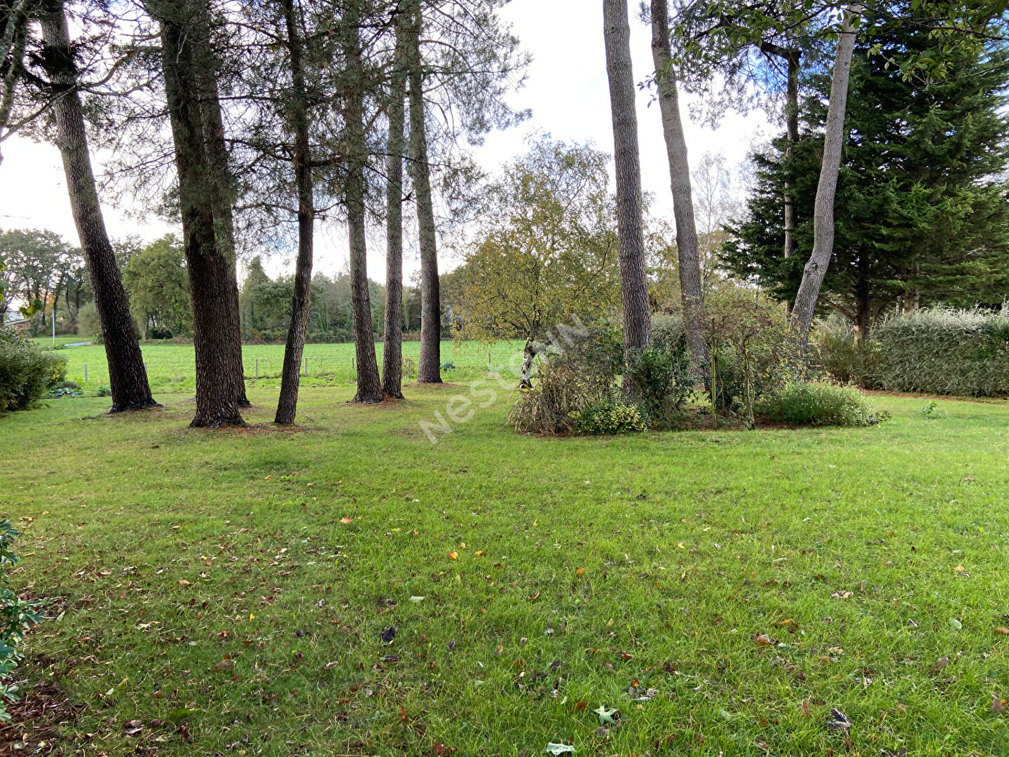 PLESCOP -  environnement campagne à 7 minutes de VANNES - 5 chambres -  terrain constructible