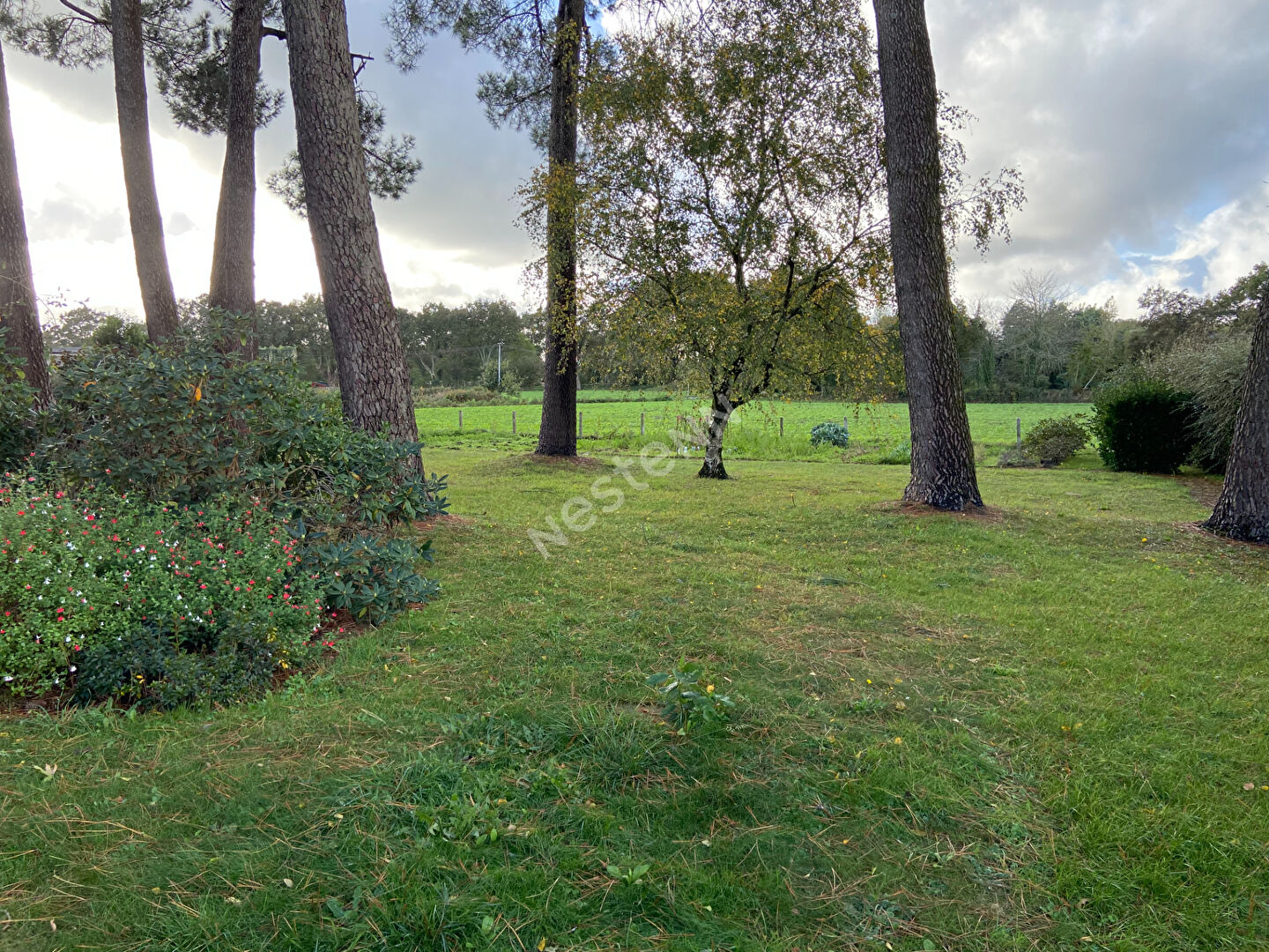 PLESCOP -  environnement campagne à 7 minutes de VANNES - 5 chambres -  terrain constructible