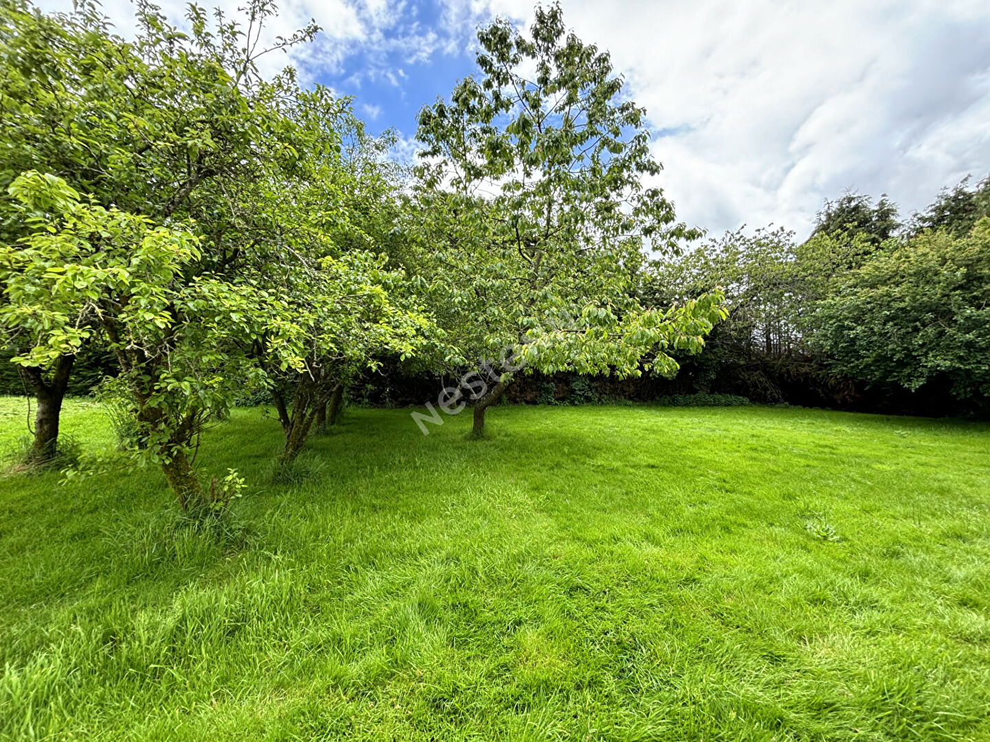 Maison à vendre à Moustoir Remungol - 4 chambres, sous-sol complet et un terrain de 1200 m²