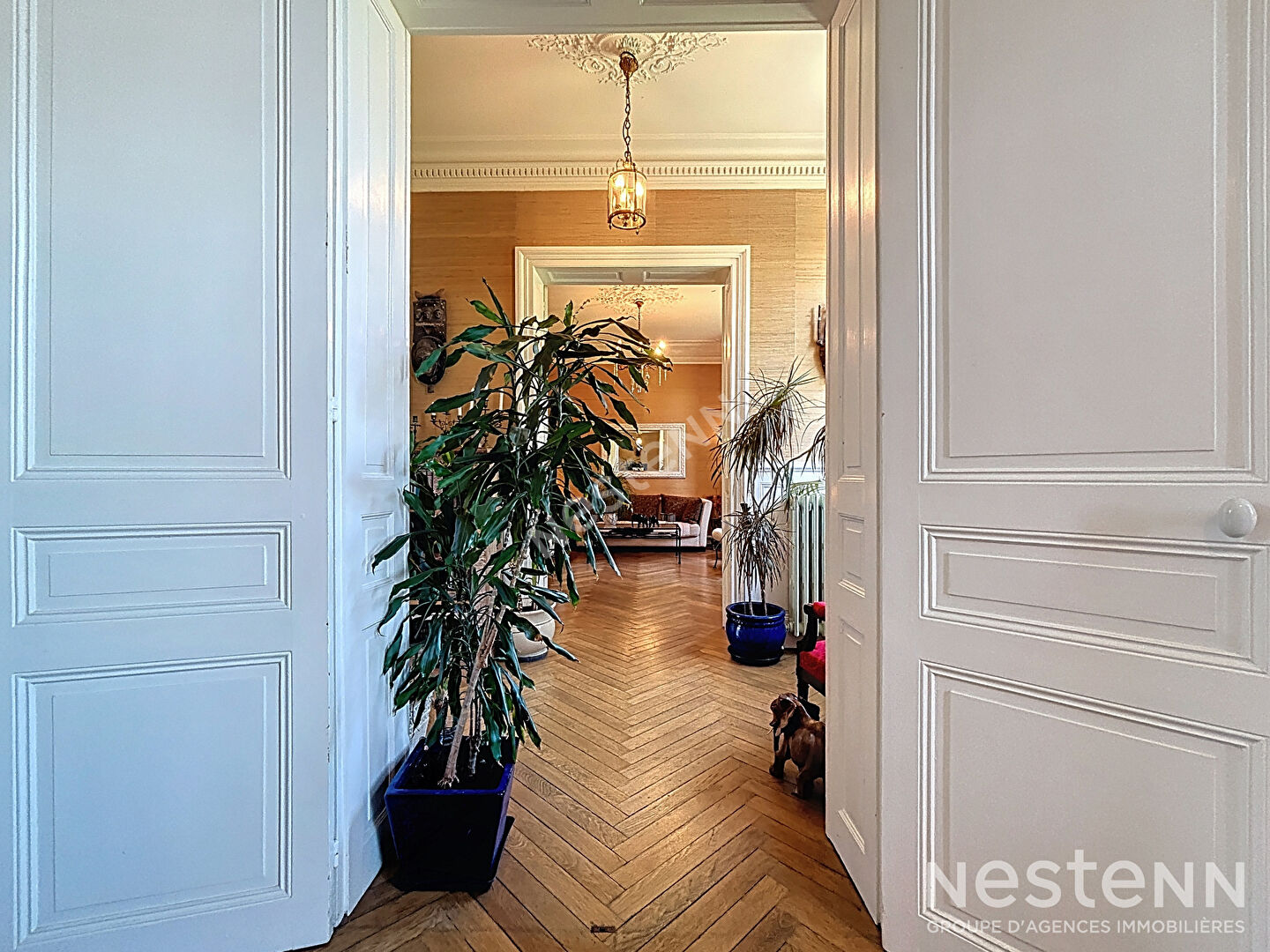 Maison de maître à Charentilly - À moins de 20 minutes de Tours