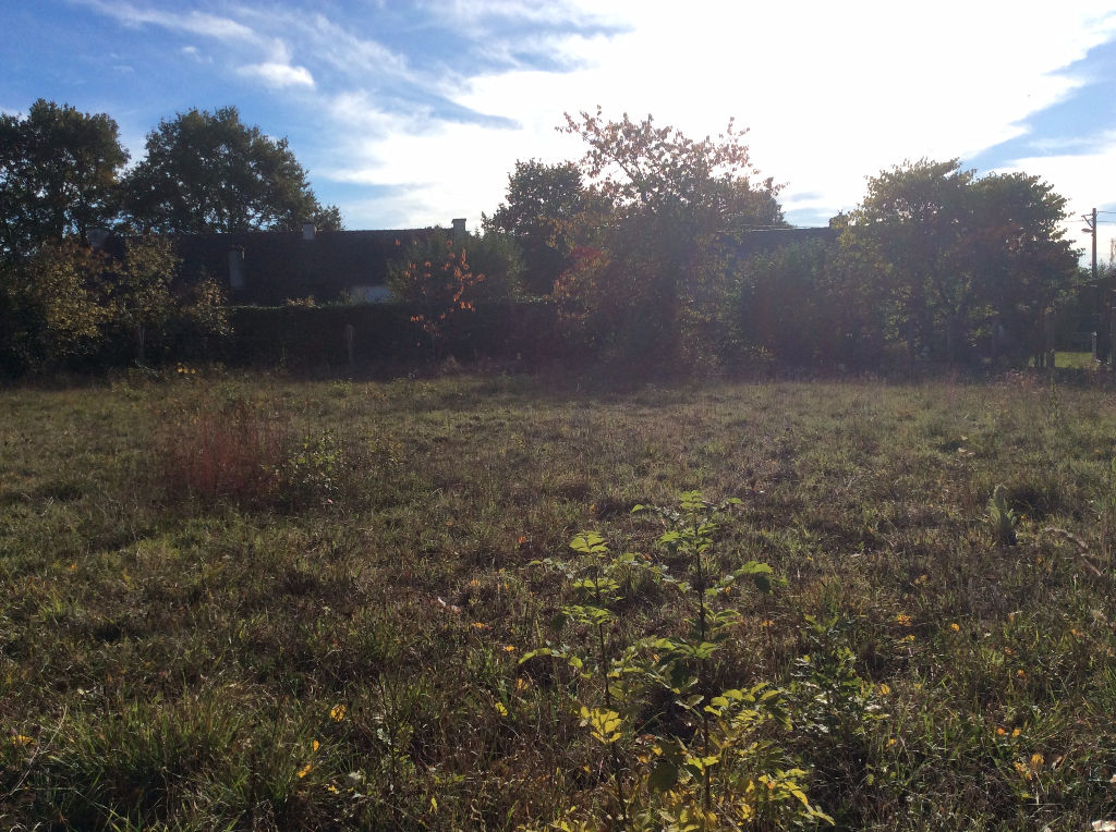 TERRAIN PLESCOP 1043m²