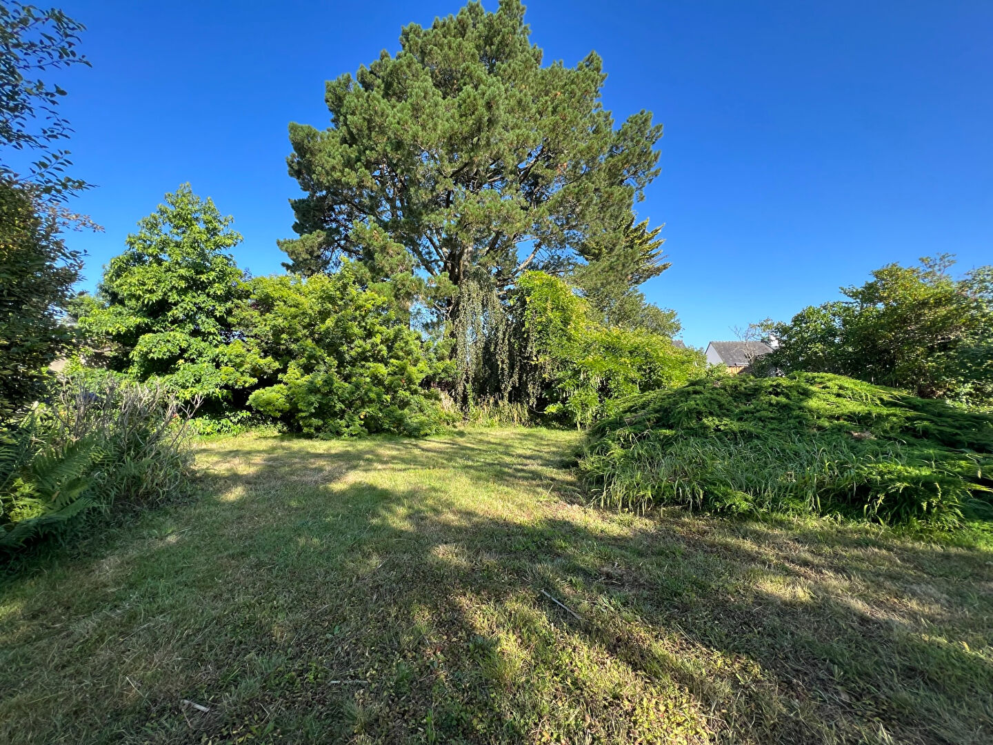 Grand terrain à vendre à Vannes 875 m² libre de constructeur
