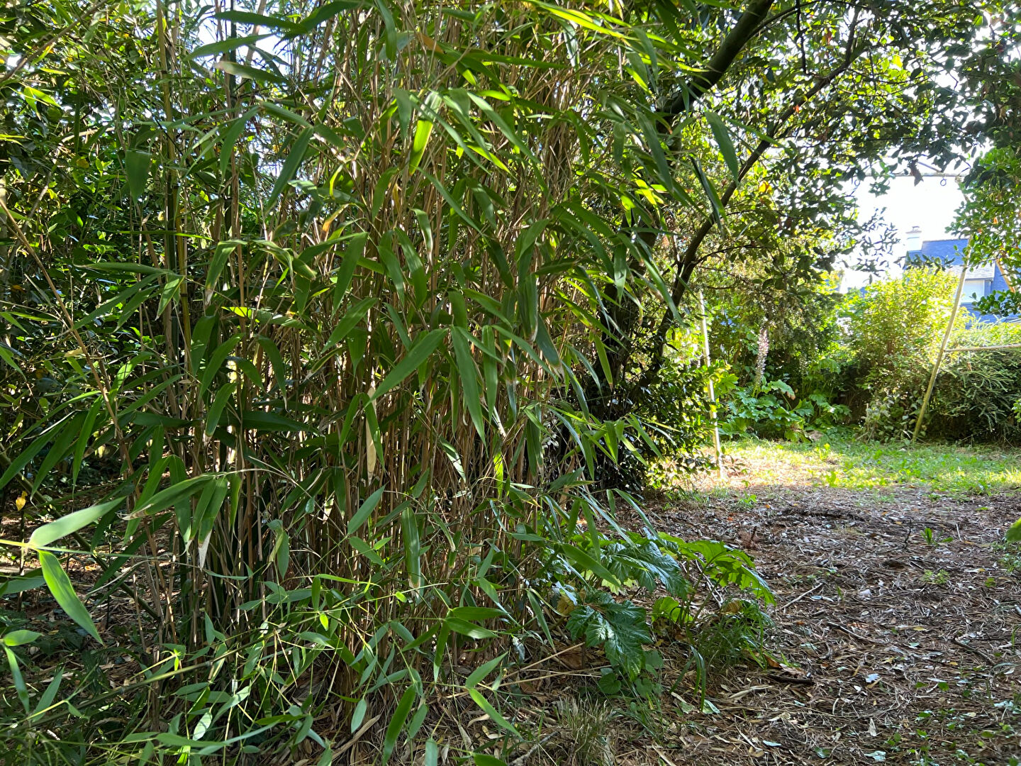 Grand terrain à vendre à Vannes 875 m² libre de constructeur