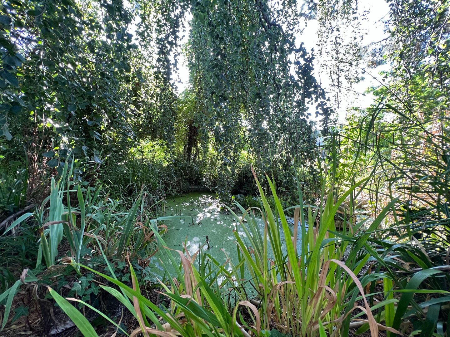 Grand terrain à vendre à Vannes 875 m² libre de constructeur