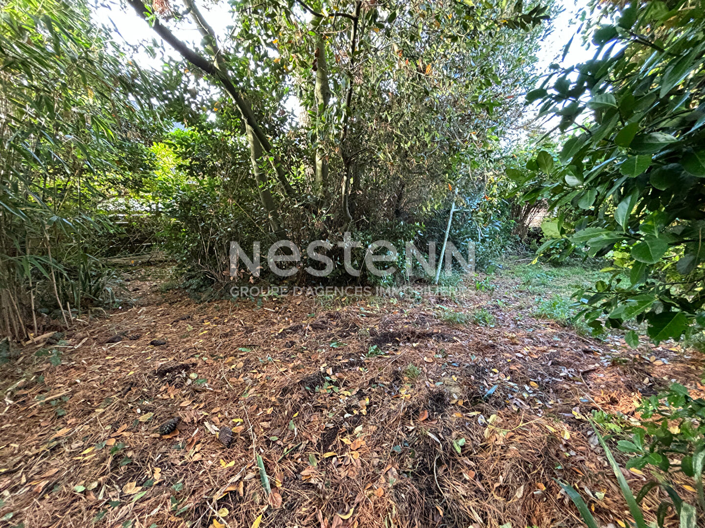Grand terrain à vendre à Vannes 875 m² libre de constructeur