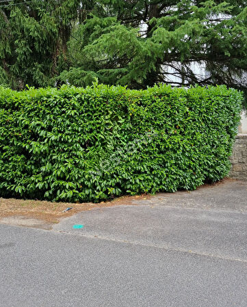 Vente terrain à Meucon (56890)