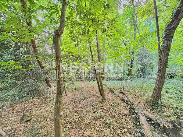 Vente terrain à Boulogne billancourt (92100)