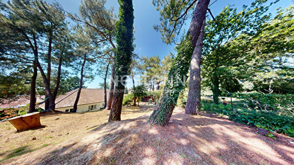 Vente maison à Dannes (62187)