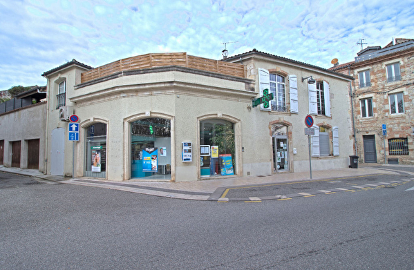 Location local-professionnel à Pont du casse (47480)