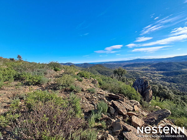 Vente terrain à Grimaud (83310)