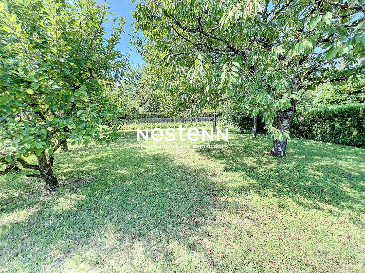 Maison Saint Cyr Sur Loire 131 m2