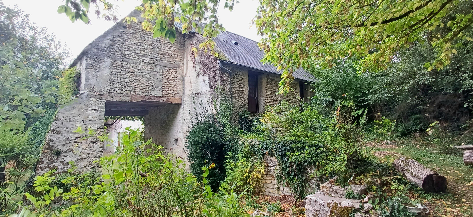 Ensemble en pierres d'exception de 300m² sur 2900 m2 de terrain arboré  à Etampes
