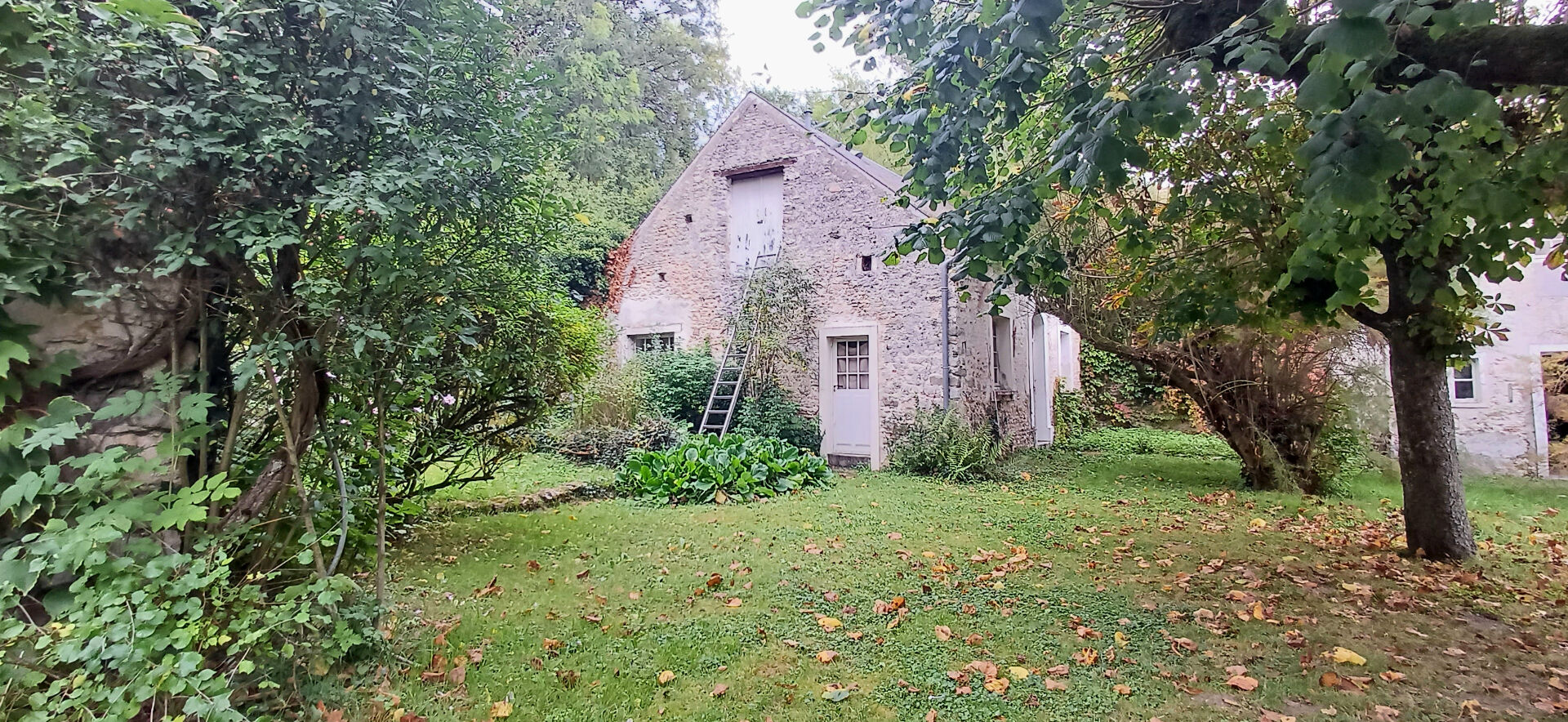 Ensemble en pierres d'exception de 300m² sur 2900 m2 de terrain arboré  à Etampes