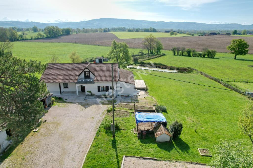 Charmante maison dans un bel environnement entre Louhans et Cuiseaux