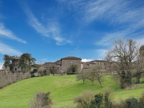 Vente maison à Rignieux le franc (01800)