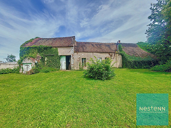 Vente par agence immobiliere à Sens (89100)