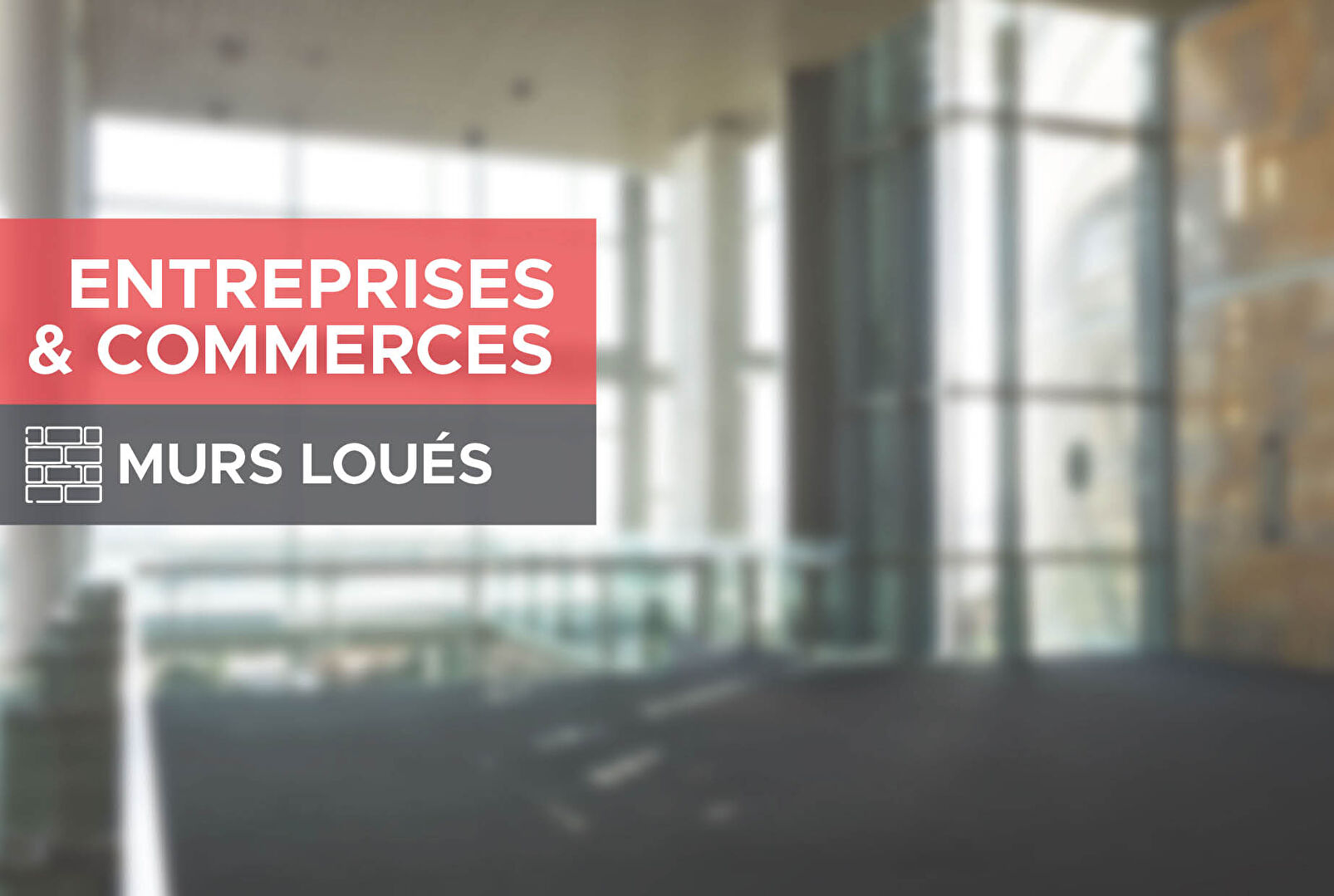LOCAL PROFESSIONNEL ACTUELLEMENT LOUE - Ideal pour investissement - Quartier Jardins d'eaux / Port de NANCY