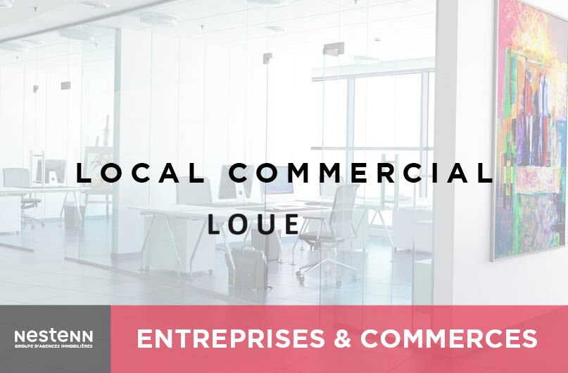 LOCAL PROFESSIONNEL ACTUELLEMENT LOUE - Ideal pour investissement - Quartier Jardins d'eaux / Port de NANCY