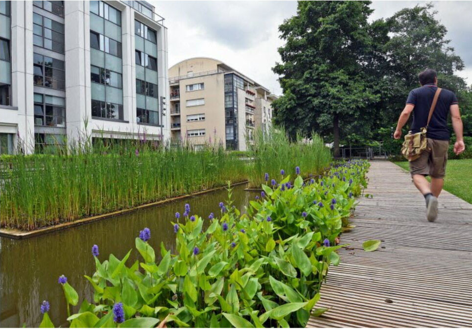 LOCAL PROFESSIONNEL ACTUELLEMENT LOUE - Ideal pour investissement - Quartier Jardins d'eaux / Port de NANCY