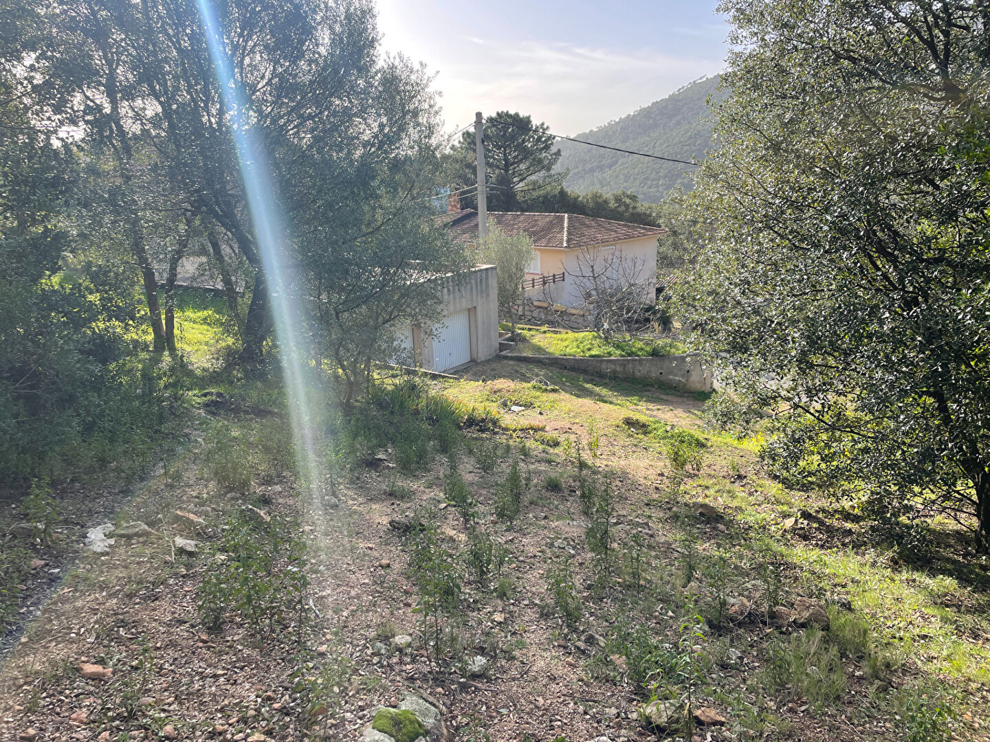 maison en plein coeur du village de Conca