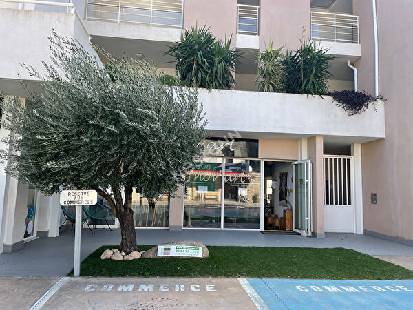 Vente par agence immobiliere à Lecci (20137)