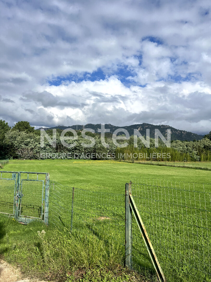 Terrain Sainte Lucie De Porto Vecchio 2864 m2