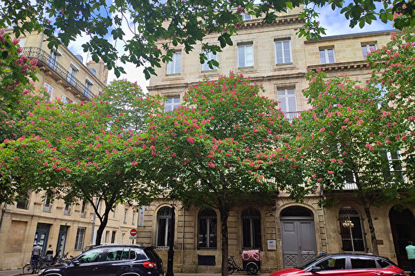 Vente appartement à Bordeaux (33200)