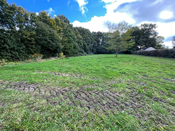 Vente terrain à Blaison saint sulpice (49320)