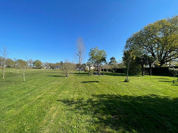 Vente terrain à Blaison saint sulpice (49320)