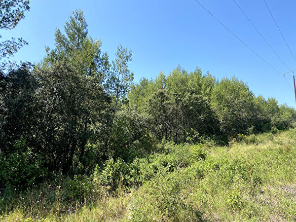 Vente par agence immobiliere à Saint mathieu de treviers (34270)