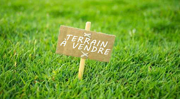 Vente par agence immobiliere à Roanne (42300)