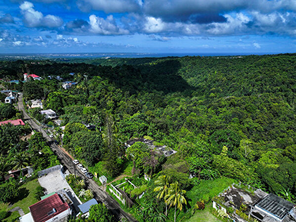 Vente par agence immobiliere à Lamentin (97129)