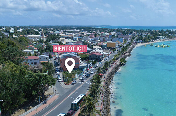 Vente par agence immobiliere à Sainte anne (97180)