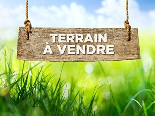 Vente par agence immobiliere à Cayenne (97300)
