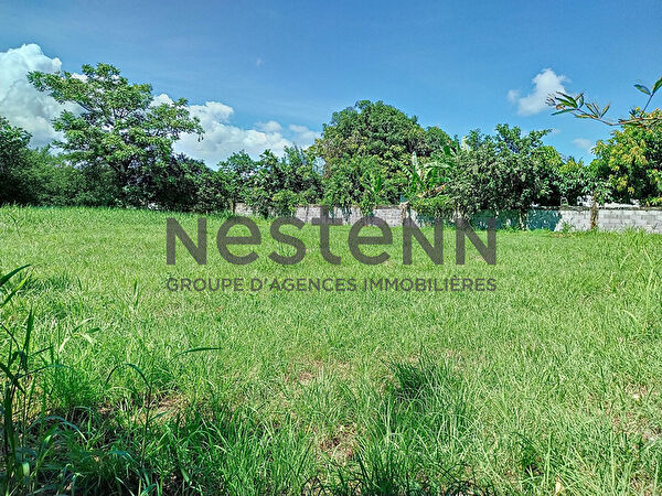 Vente par agence immobiliere à Sainte anne (97180)