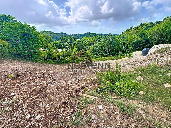 Vente par agence immobiliere au gosier (97190)