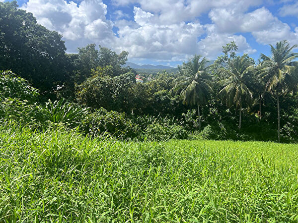 Vente par agence immobiliere à Lamentin (97129)
