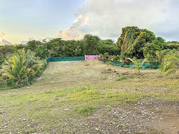 Vente par agence immobiliere à Sainte anne (97180)
